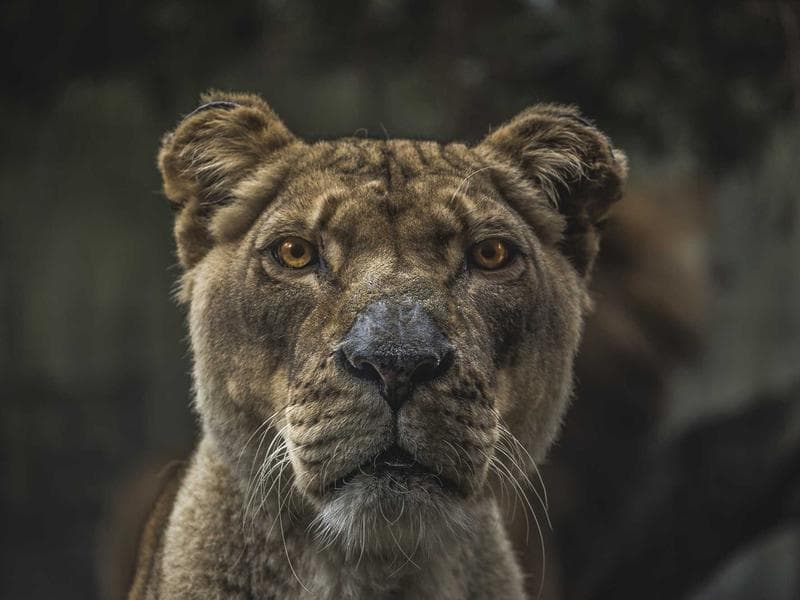 event stage 24x16 main